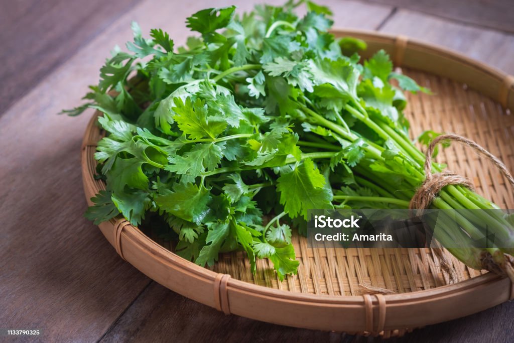 uses of coriander