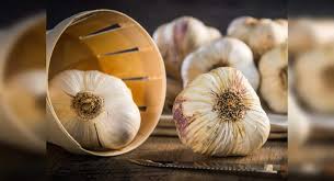 ASTONISHING USES OF GARLIC