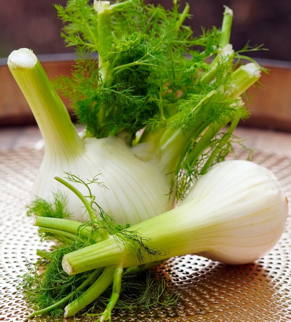 Benefits of Fennel